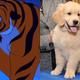 Image for article titled Here's Our Dream Cast For Disney's Live-Action Aladdin Remake